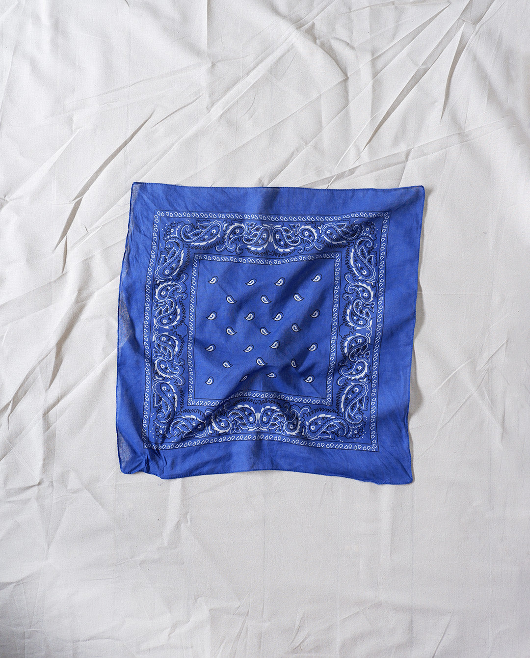Paisley Scarf