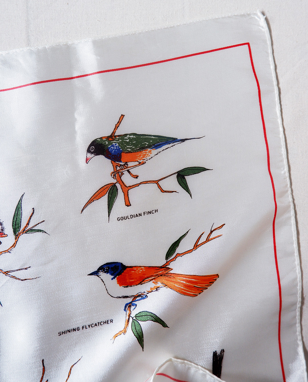 Birds Scarf