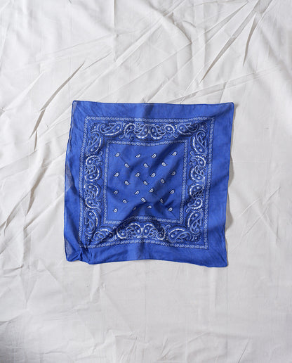 Paisley Scarf