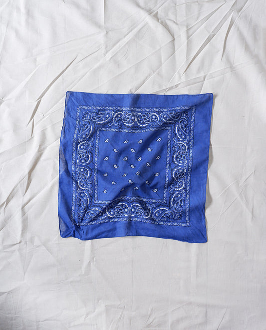 Paisley Scarf