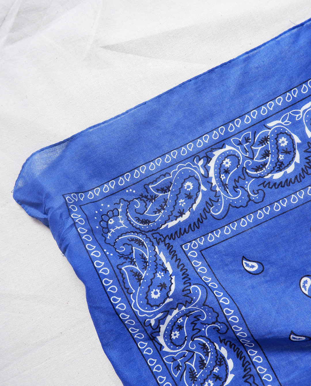 Paisley Scarf