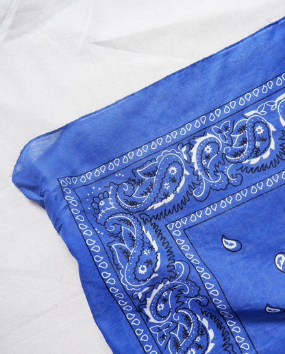 Paisley Scarf